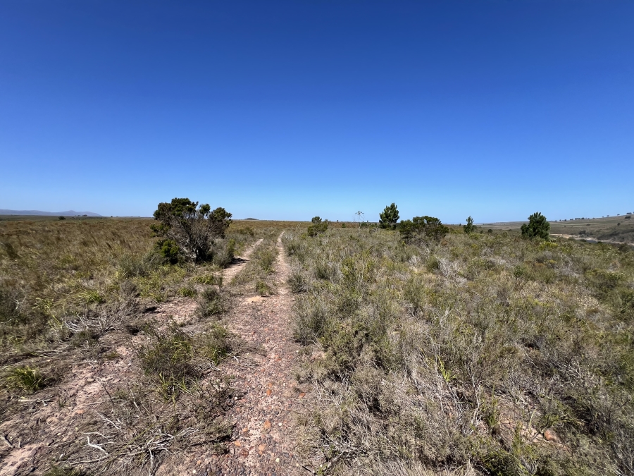 0 Bedroom Property for Sale in Humansdorp Rural Eastern Cape